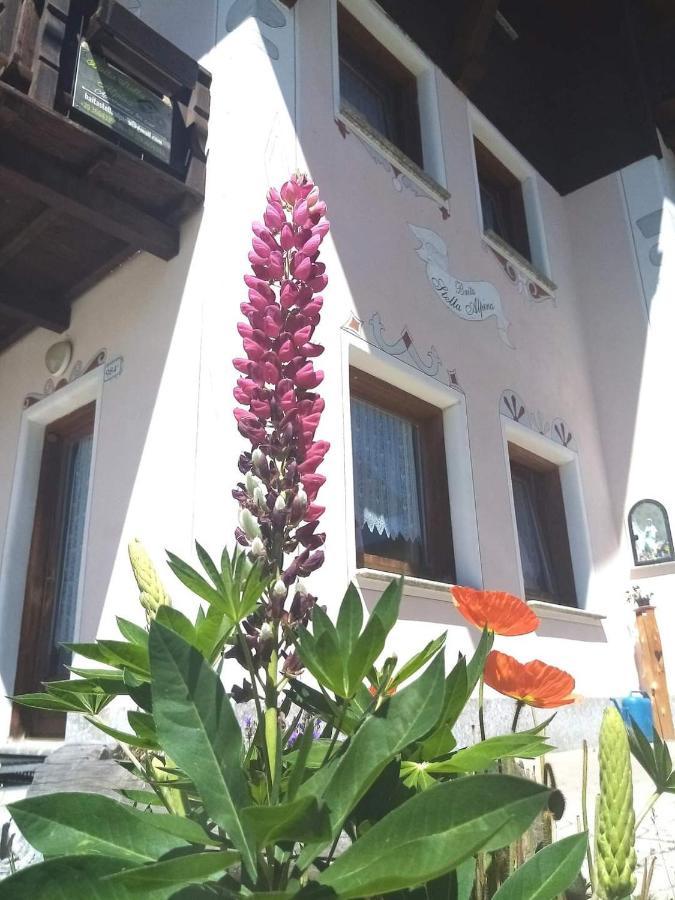 Baita Stella Alpina Livigno Kültér fotó